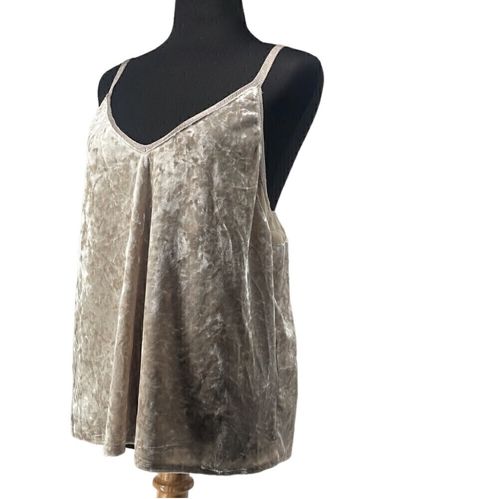 Zara velvet tank top sheer mesh neutral sexy beachy coastal sz M
